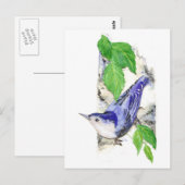 Waterverf White Breasted Nuthatch - Vogel Briefkaart (Voorkant / Achterkant)