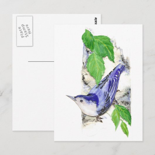 Waterverf White Breasted Nuthatch - Vogel Briefkaart (Voorkant / Achterkant)