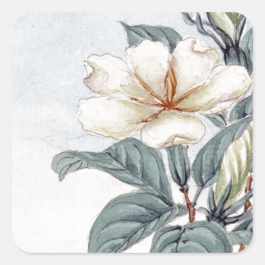 Waterverf White Jasmine Flower Vierkante Sticker (Voorkant)