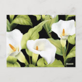 Waterverf White Lily 4 Briefkaart (Achterkant)