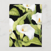 Waterverf White Lily 4 Briefkaart (Voorkant)