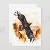 Waterverf wigstaartadelaar briefkaart (Voorkant / Achterkant)