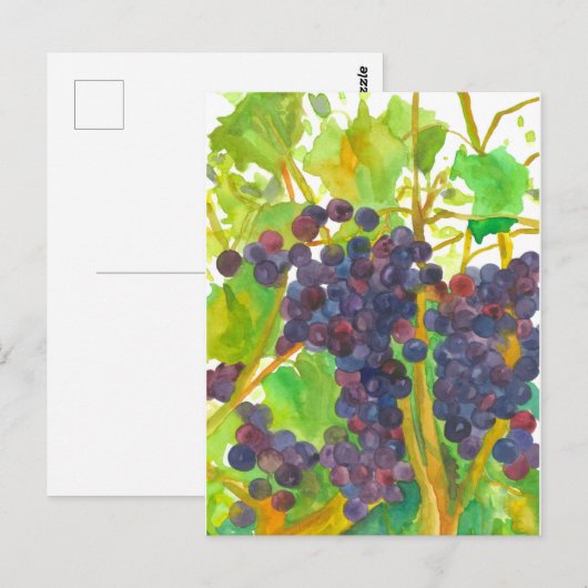 Waterverf wijndruiven schilderen briefkaart (Voorkant / Achterkant)