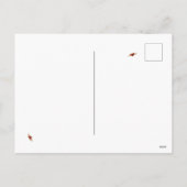 Waterverf Wildbloem Insecten Floral Spring Garden Feestdagenkaart (Achterkant)