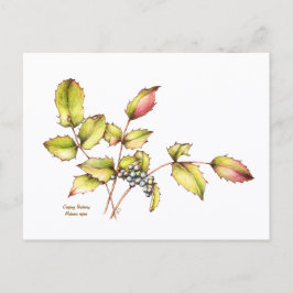 Waterverf wilde bloem berberis ansichtkaart briefkaart