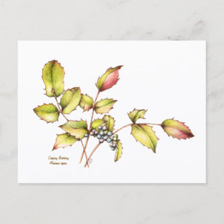 Waterverf wilde bloem berberis ansichtkaart briefkaart