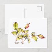 Waterverf wilde bloem berberis ansichtkaart briefkaart (Voorkant / Achterkant)