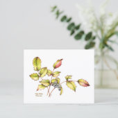 Waterverf wilde bloem berberis ansichtkaart briefkaart (Staand voorkant)