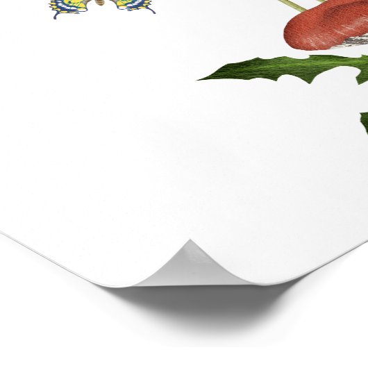 Waterverf wilde paddenstoelen Baby's zijn zoet Poster (Hoek)