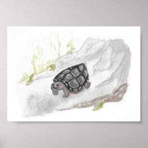 Waterverf Wildlife Natuur Forest Turtle Poster