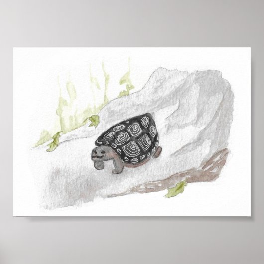 Waterverf Wildlife Natuur Forest Turtle Poster (Voorkant)