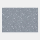 Waterverf Winter Botanicals Sneeuwvlok Kerst Inpakpapier Vel (Voorkant 2)