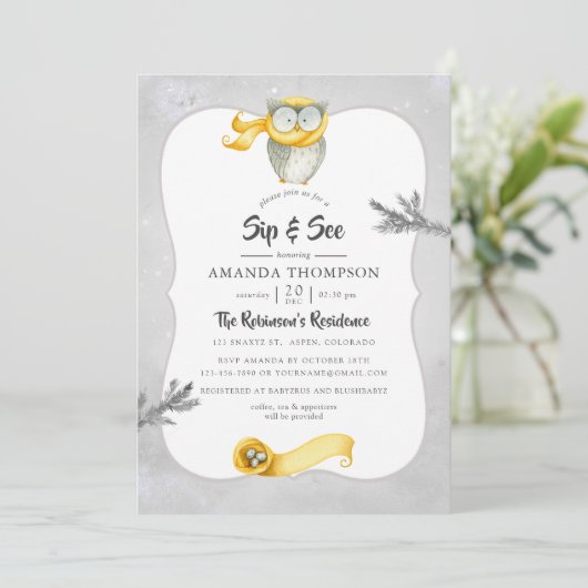 Waterverf Winter Owl Kerstmis Kaart (Staand voorkant)