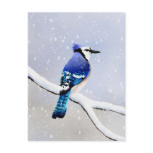 Waterverf Winter Snow Bird Jay
