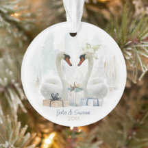 Waterverf Winter Swan Couple