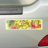 Waterverf winterbessen bumpersticker (Op auto)