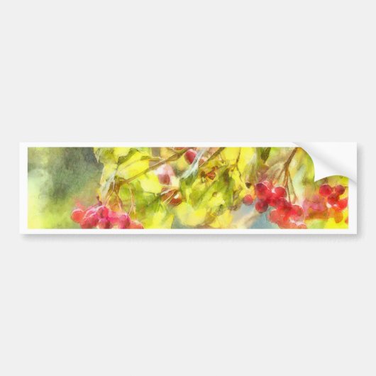 Waterverf winterbessen bumpersticker (Voorkant)
