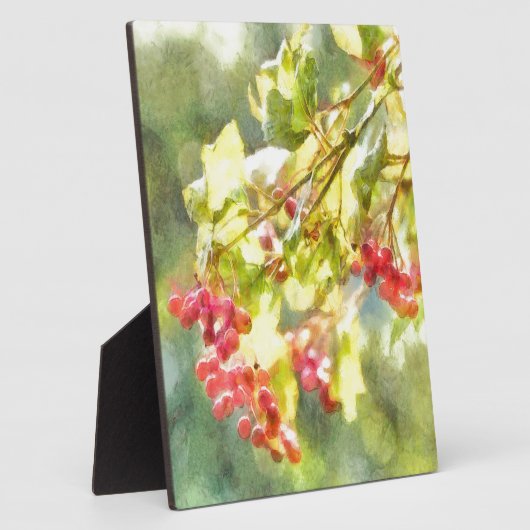 Waterverf winterbessen fotoplaat (Zijkant)