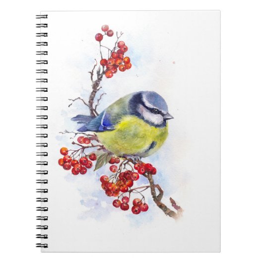 Waterverf winterstaartwalk notitieboek (Voorkant)