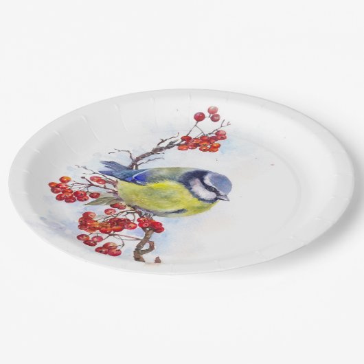 Waterverf winterstaartwalk papieren bordje (Gekanteld)