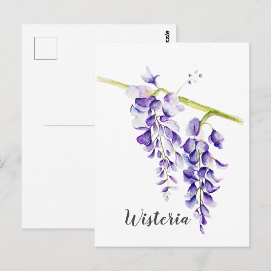 Waterverf Wisteria Botanisch Briefkaart (Voorkant / Achterkant)