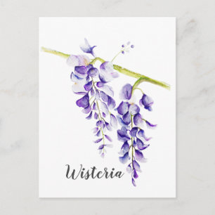 Waterverf Wisteria Botanisch Briefkaart