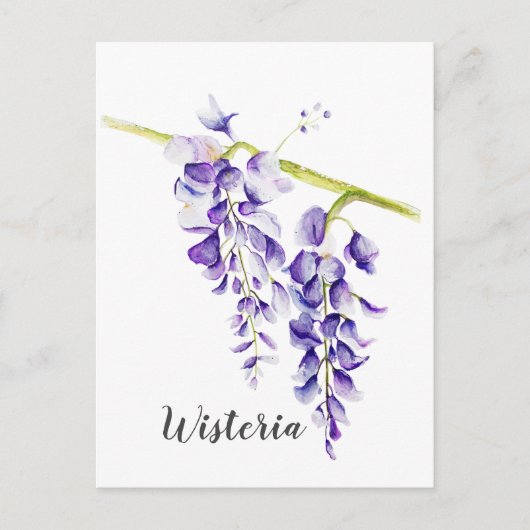 Waterverf Wisteria Botanisch Briefkaart (Voorkant)