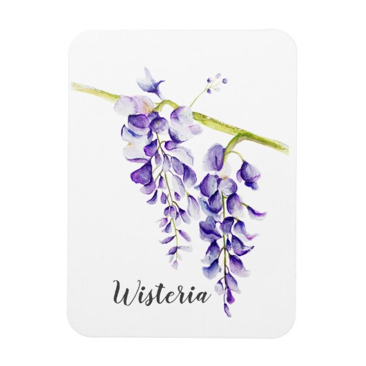 Waterverf Wisteria Botanisch Magneet (Verticaal)