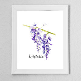 Waterverf Wisteria Botanisch Poster