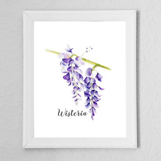Waterverf Wisteria Botanisch Poster