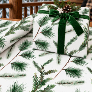 Waterverf Witte Den Spar Juniperus Boomtakjes Cadeaupapier