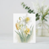 Waterverf Witte en gele diaffodils Briefkaart (Staand voorkant)