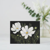 Waterverf Witte Kosmos Bloemen Botanische Schilder Briefkaart (Staand voorkant)