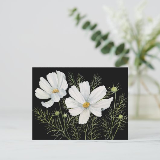 Waterverf Witte Kosmos Bloemen Botanische Schilder Briefkaart (Staand voorkant)