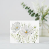 Waterverf Witte Kosmos Bloemen Botanische Schilder Briefkaart (Staand voorkant)