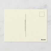 Waterverf Witte Kosmos Bloemen Botanische Schilder Briefkaart (Achterkant)