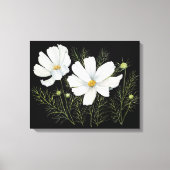 Waterverf Witte Kosmos Bloemen Botanische Schilder Canvas Afdruk (Voorkant)