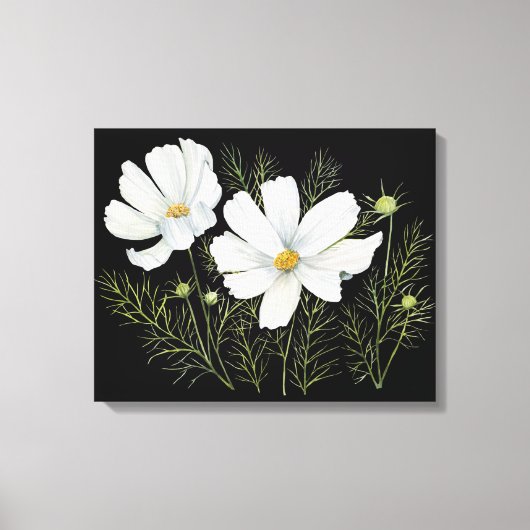 Waterverf Witte Kosmos Bloemen Botanische Schilder Canvas Afdruk (Voorkant)