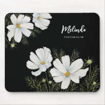 Waterverf Witte Kosmos Bloemen Botanische Schilder