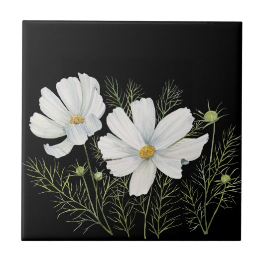 Waterverf Witte Kosmos Bloemen Botanische Schilder Tegeltje (Voorkant)