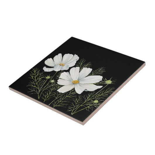 Waterverf Witte Kosmos Bloemen Botanische Schilder Tegeltje (Zijkant)