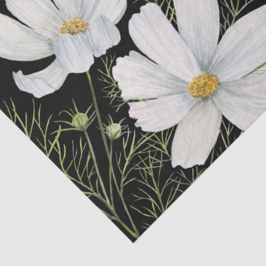 Waterverf Witte Kosmos Bloemen Botanische Schilder Tissuepapier (Detail)