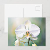 Waterverf witte orchidee met delicate bloemblaadje briefkaart (Voorkant / Achterkant)