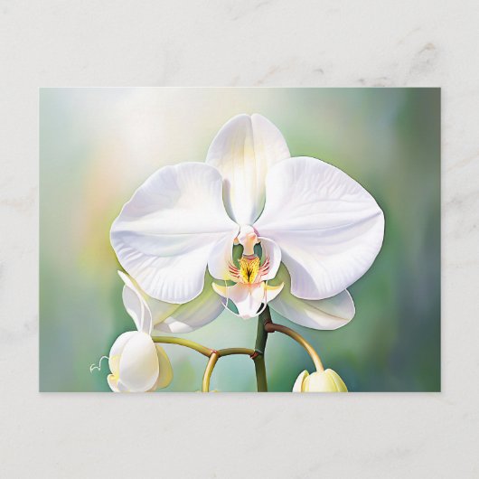 Waterverf witte orchidee met delicate bloemblaadje briefkaart (Voorkant)
