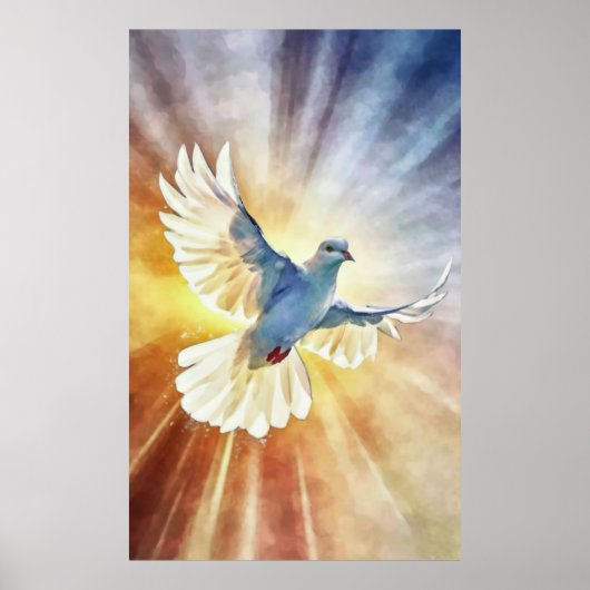 Waterverf witte vliegende duif poster (Voorkant)