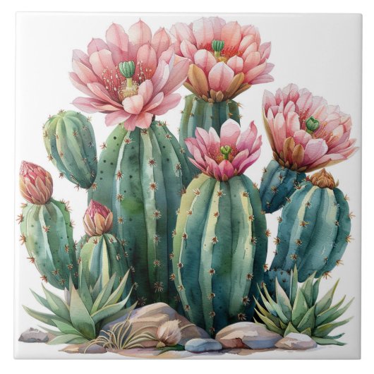 Waterverf woestijnbloemen cactussen. tegeltje (Voorkant)