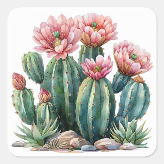 Waterverf woestijnbloemen cactussen. vierkante sticker (Voorkant)