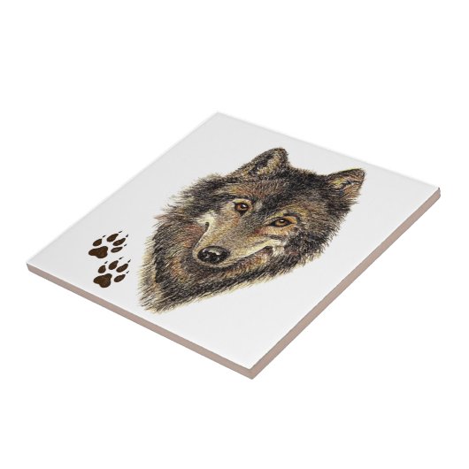 Waterverf Wolf Head Logo & Tracks Canis Lupis Tegeltje (Zijkant)