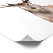 Waterverf Woodland Animal Boys Meisjes Kamer Decor Poster (Hoek)