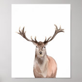 Waterverf Woodland Animal Boys Meisjes Kamer Decor Poster (Voorkant)